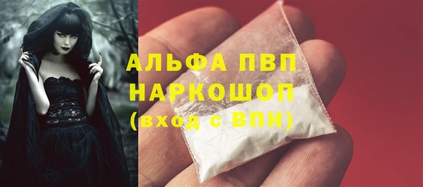 прущие грибы Бугульма