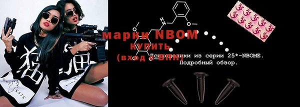 стафф Бородино