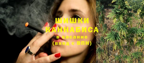 стафф Бородино