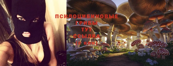 стафф Бородино