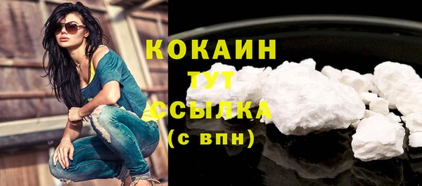 стафф Бородино