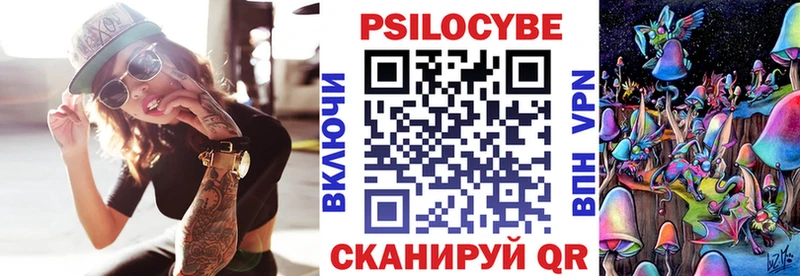 Галлюциногенные грибы Psilocybe  Киселёвск 